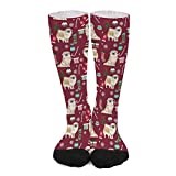 Thick Socks 50Cm Tibetan Spaniel Christmas Tibetan Spaniel Patterned Socks Fancy Novelty Dress Socks Comfort Winter Socks For Child, Mother'S Day, Valentine'S Day