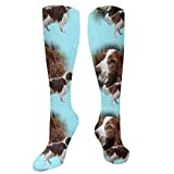 351 Golf Socks Welsh Springer Spaniel Winter Socks Multi Coloured Work Socks Cushion Gift Socks 50Cm For Halloween, Mens, Womens