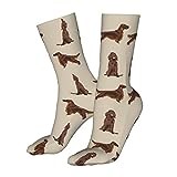 351 Mens Women Socks Irish Setter Simple Dog Breed Boot Socks Sustainable Work Socks Durable Football Socks, For Yoga, Football, 40Cm