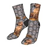 Men’S Socks Redbone Coonhound Dog Running Socks Anti-Slip Office Socks Unisex Athletic Socks For Men Outdoor Walking 40Cm