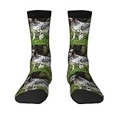 Crew Socks, Compression Socks Casual Novelty Sports Socks 40CM Long For Unisex English Setter Lawn Pets Dogs English Setter