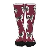 Novelty Crew Socks,Alaskan Malamute Dog Ruby Red Casual Funny Dress Socks Mid Calf Sport Athletic Socks For Women Men