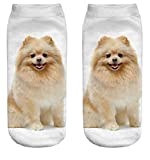 FUREVER GIFTS Pomeranian Dog Unisex Trainer Socks One Size Polyester 1 Pair