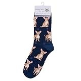 Animal Crackers Ladies Socks (Chihuahua)