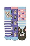 United Oddsocks -3 Oddsocks For Girls - Woof - French Bulldog UK 12-5.5