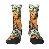 ButxeT Crew Socks,Compression Socks Casual Novelty Sports Socks 40CM Long For Unisex,Welsh Terrier Art Print