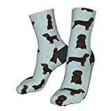 Men’S Socks Boykin Spaniel Pet Sports Socks Soft Walking Socks Sustainable Office Socks For Trekking Basketball Climbing 40Cm