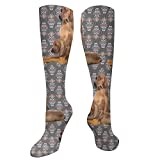 351 Fun Socks Redbone Coonhound Dog Golf Socks Multi Coloured Crew Socks Premium Socks 50Cm For Christmas, Valentine'S Day, Aldult
