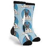 Unisex Running Socks Black Toy Fox Terrier Hiking Socks Warm Walking Socks Lightweight Casual Socks For Running Trekking Summer