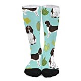 Unisex Funny Crew Socks,English Springer Spaniel Cactus Dog English Springer Design Mid Calf Dress Socks Sports Socks Athletic Long Tube Stockings for Men Women