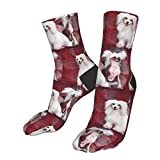 Running Socks Chinese Crested Dogs Sports Socks Warmer Socks Unisex Athletic Socks For Runing Outdoor Camping 40Cm