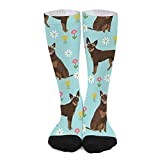 Unisex Novelty Crew Socks,Australian Kelpie Dog Red And Tan Kelpie Design Daisies Light Blue Mid Calf Dress Socks Sports Socks Knee High Athletic Long Tube Stockings for Girls Women