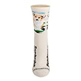Pembroke Welsh Corgi Dog Design Novelty Socks In Cream (Medium)