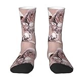Bedlington Terrier, Compression Socks Crew Socks Casual Adult Socks Sports Socks