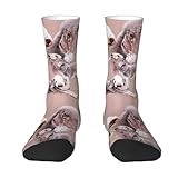 YANDM Bedlington Terrier, Crew Socks Compression Socks Casual Novelty Sports Socks For Unisex