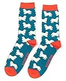 LilyRosa Spaniel Socks Teal Mens 6-11 Dog Dogs King Charles Cavalier New 1 Pair (Teal)