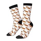 Oudrspo Funny Socks Novelty Socks Pembroke Welsh Corgi Unisex Funky Socks Casual Dress Socks
