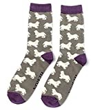 LilyRosa Spaniel Socks Teal Mens 6-11 Dog Dogs King Charles Cavalier New 1 Pair (Grey)