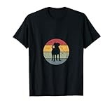 Appenzeller Vintage T-Shirt