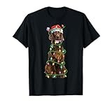Family Matching Santa Irish Setter Christmas Gifts Unisex-Adults Irish Setter Dog Lover Xmas Santa Hat Black Cotton Crew Neck Short Sleeve T-Shirt