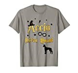 Ibizan Hound Gifts - Accio Ibizan Hound T-Shirt